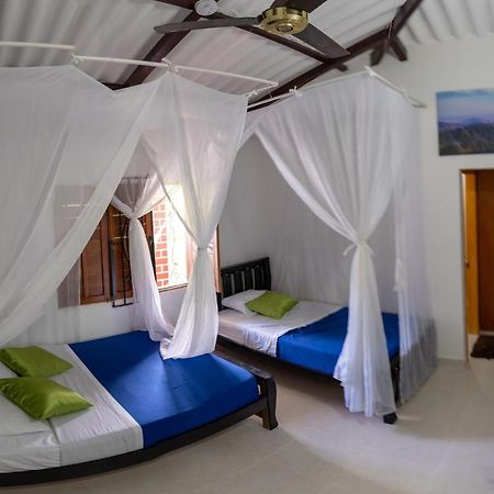 Hostal Coco Bomgo Minca Eksteriør billede