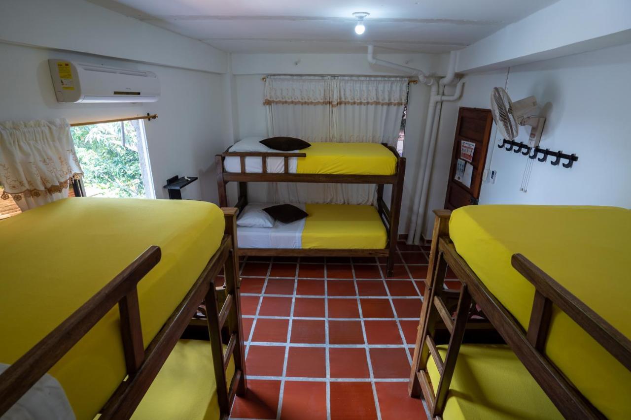 Hostal Coco Bomgo Minca Eksteriør billede