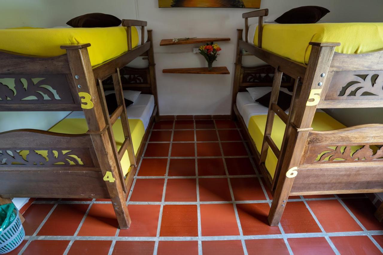 Hostal Coco Bomgo Minca Eksteriør billede